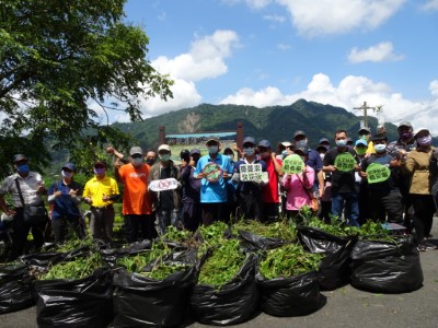 圖4 屏東林區管理處六龜工作站於六龜苗圃舉辦小花蔓澤蘭移除防治活動。